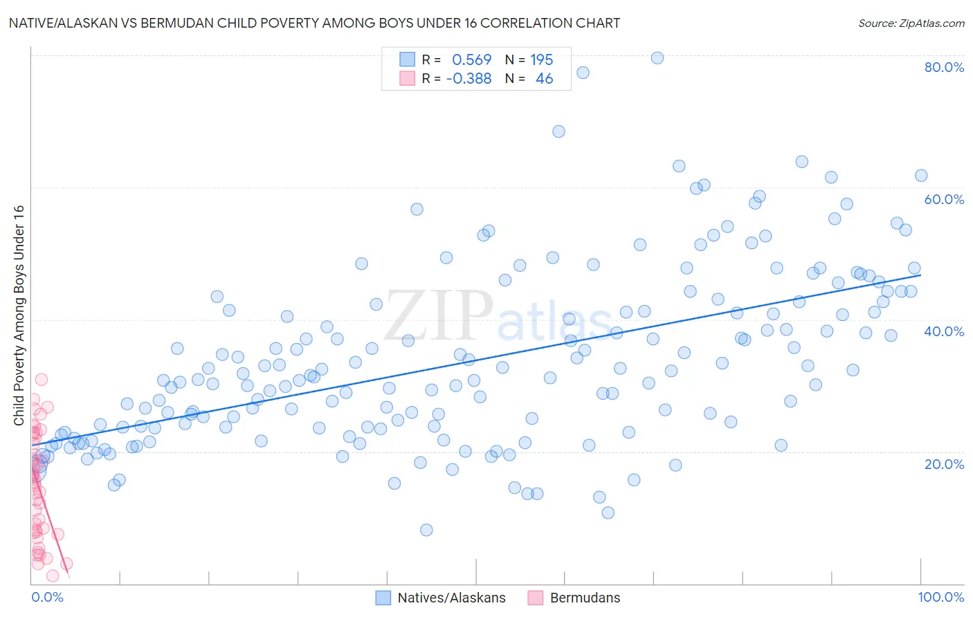 Native/Alaskan vs Bermudan Child Poverty Among Boys Under 16