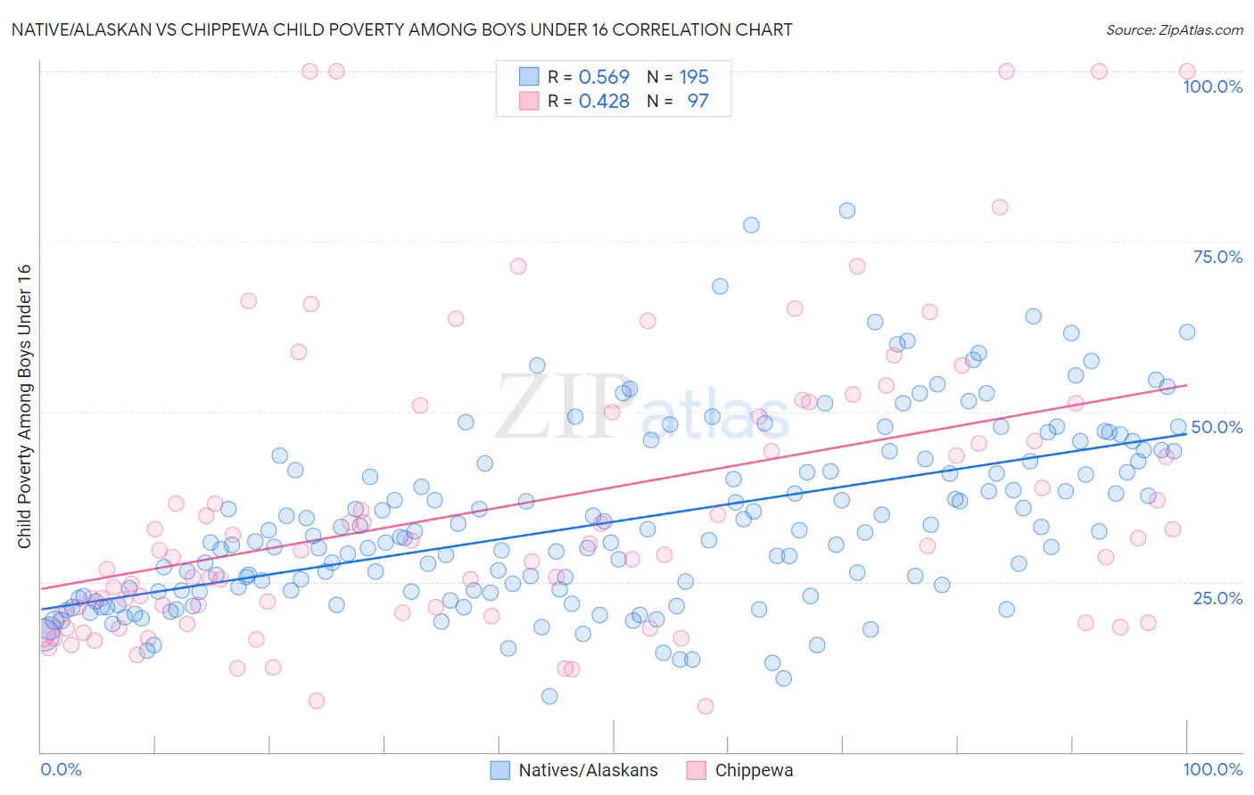 Native/Alaskan vs Chippewa Child Poverty Among Boys Under 16