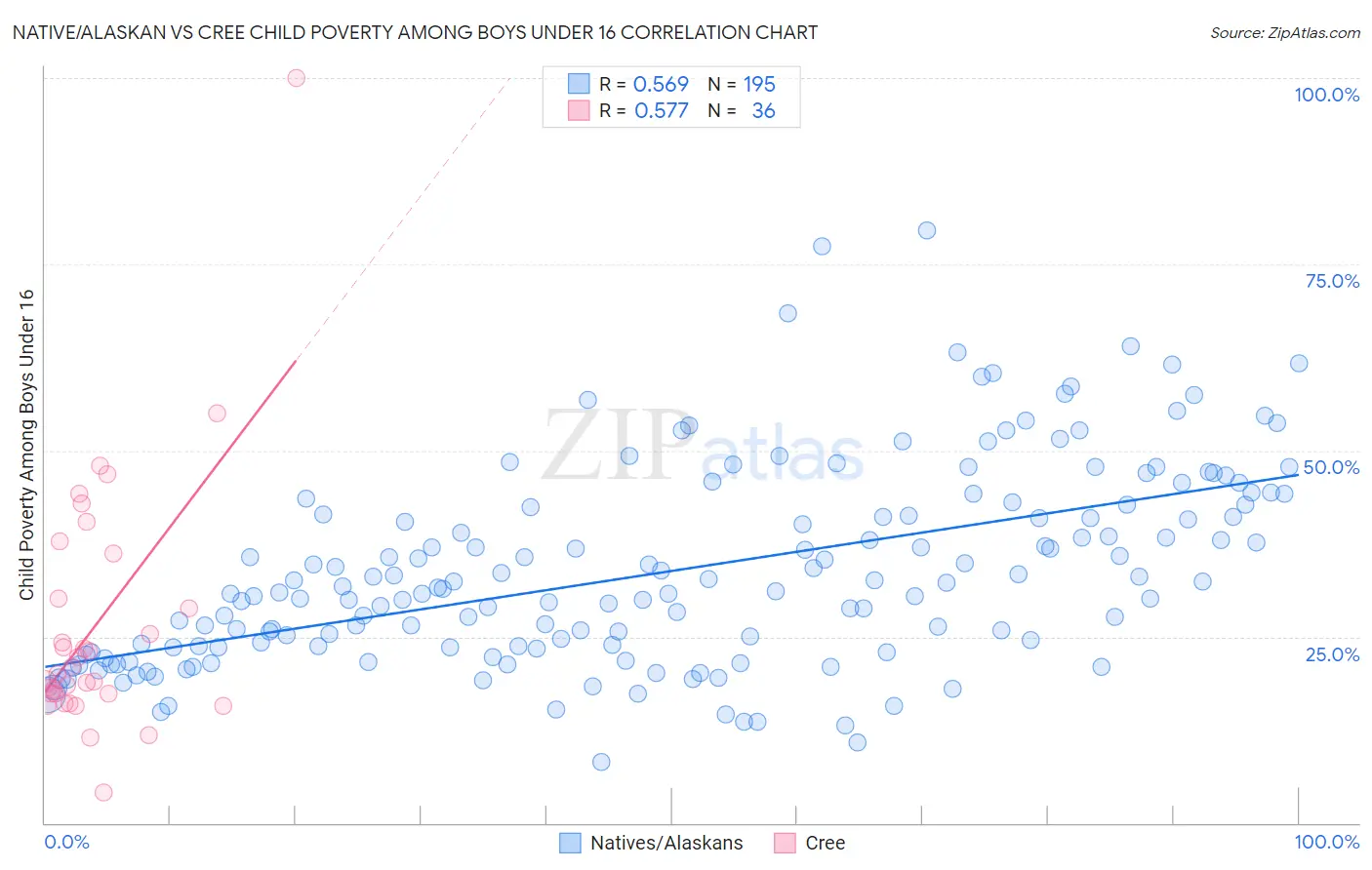 Native/Alaskan vs Cree Child Poverty Among Boys Under 16