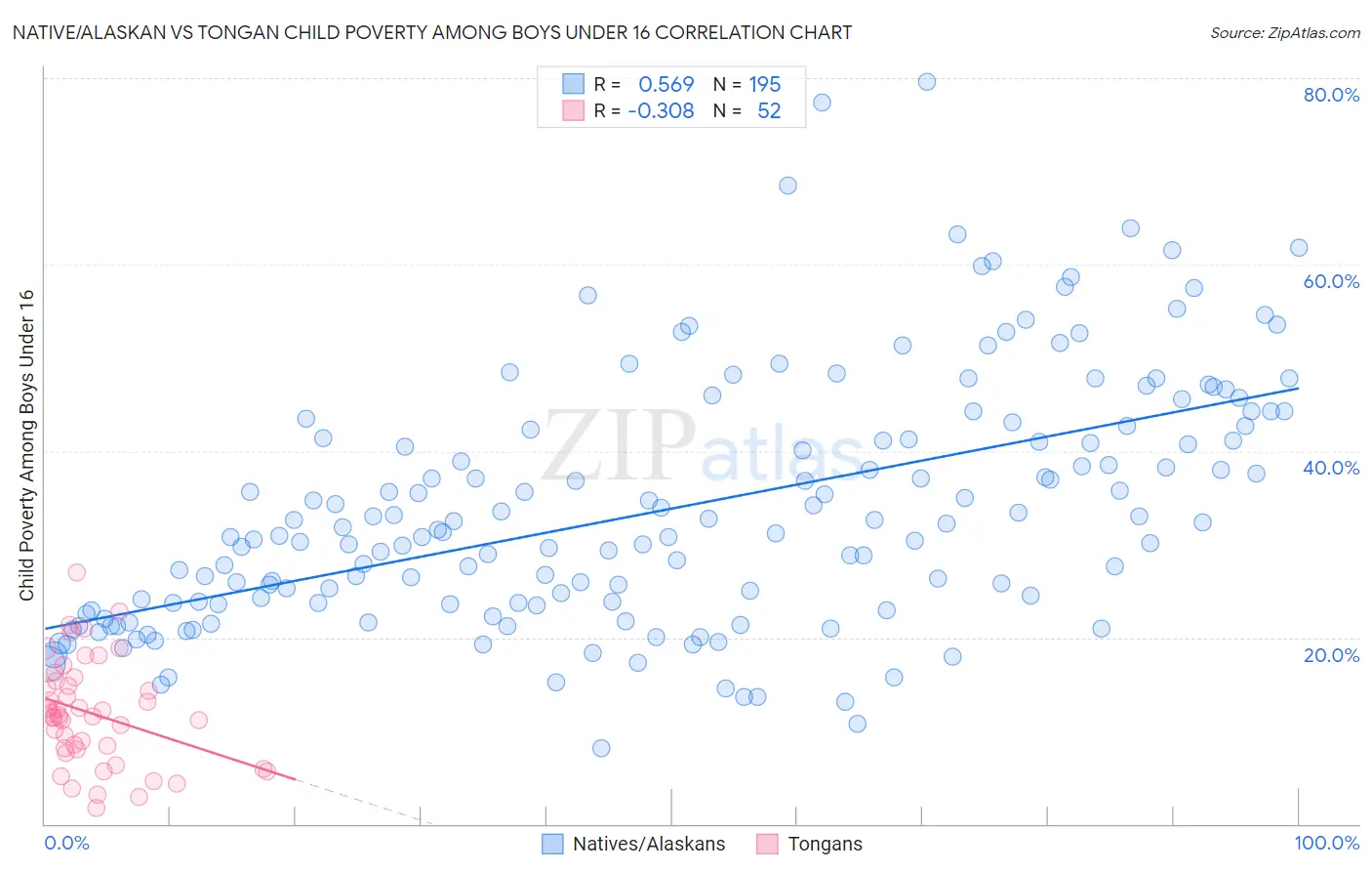 Native/Alaskan vs Tongan Child Poverty Among Boys Under 16