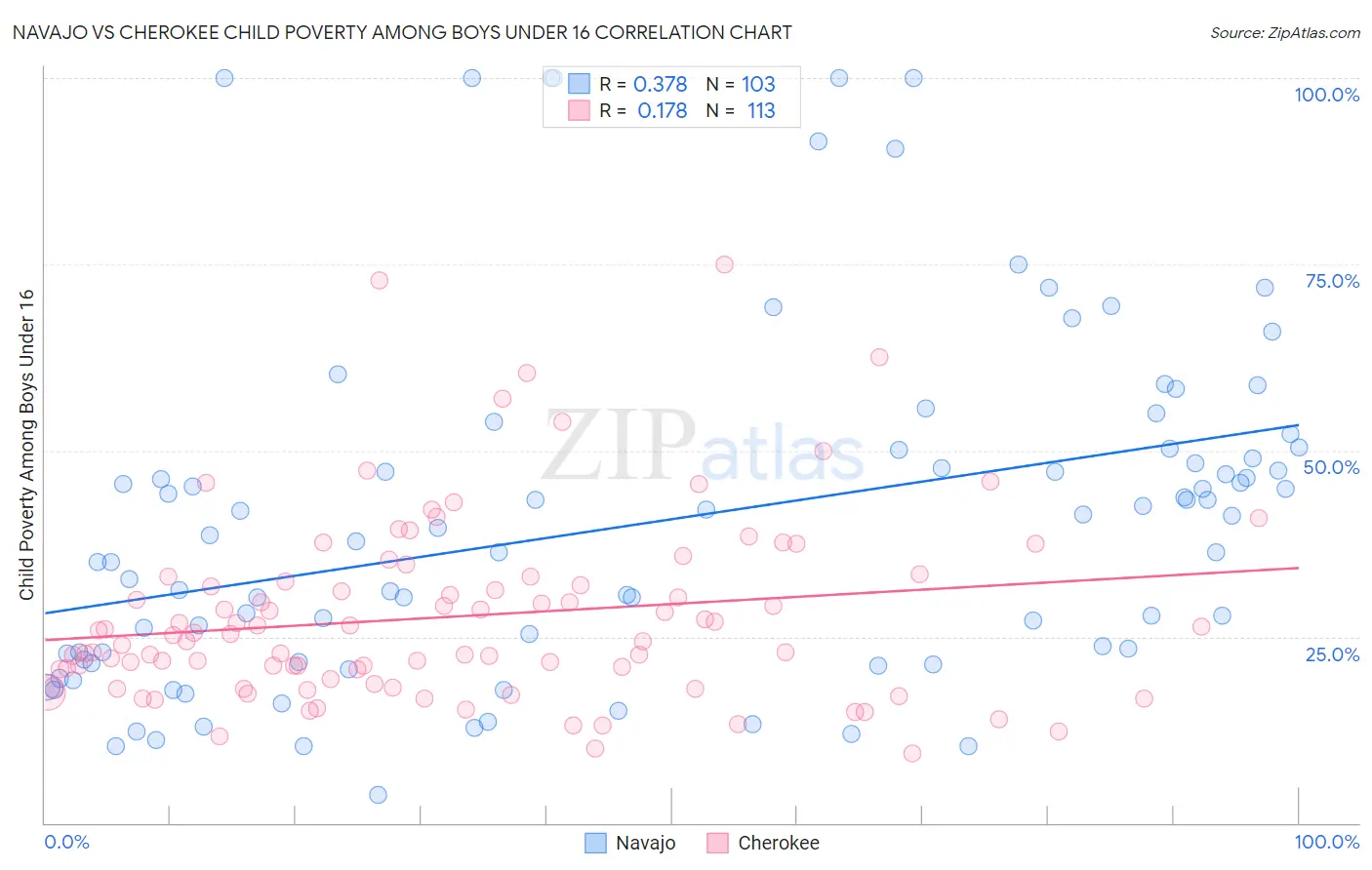 Navajo vs Cherokee Child Poverty Among Boys Under 16