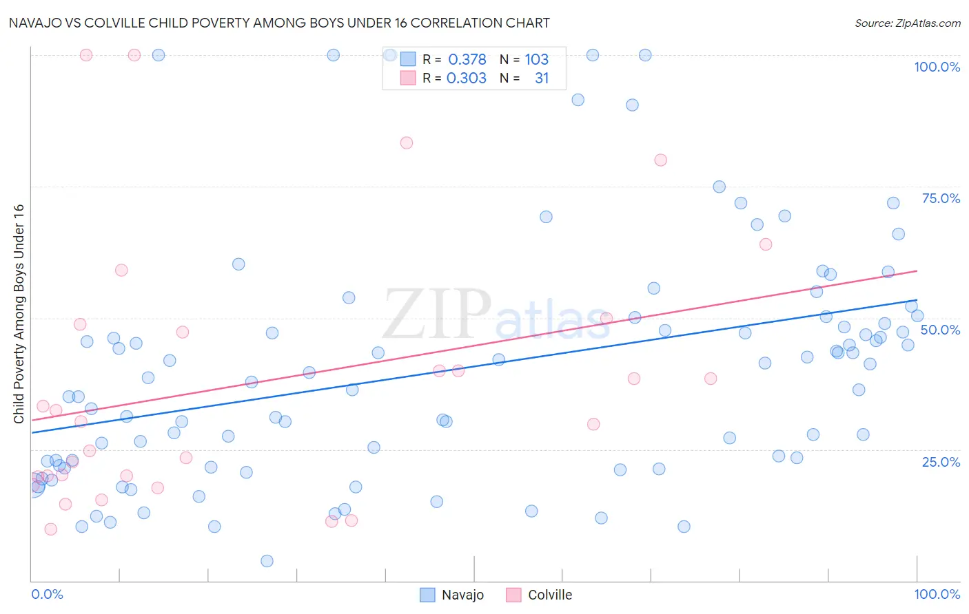 Navajo vs Colville Child Poverty Among Boys Under 16