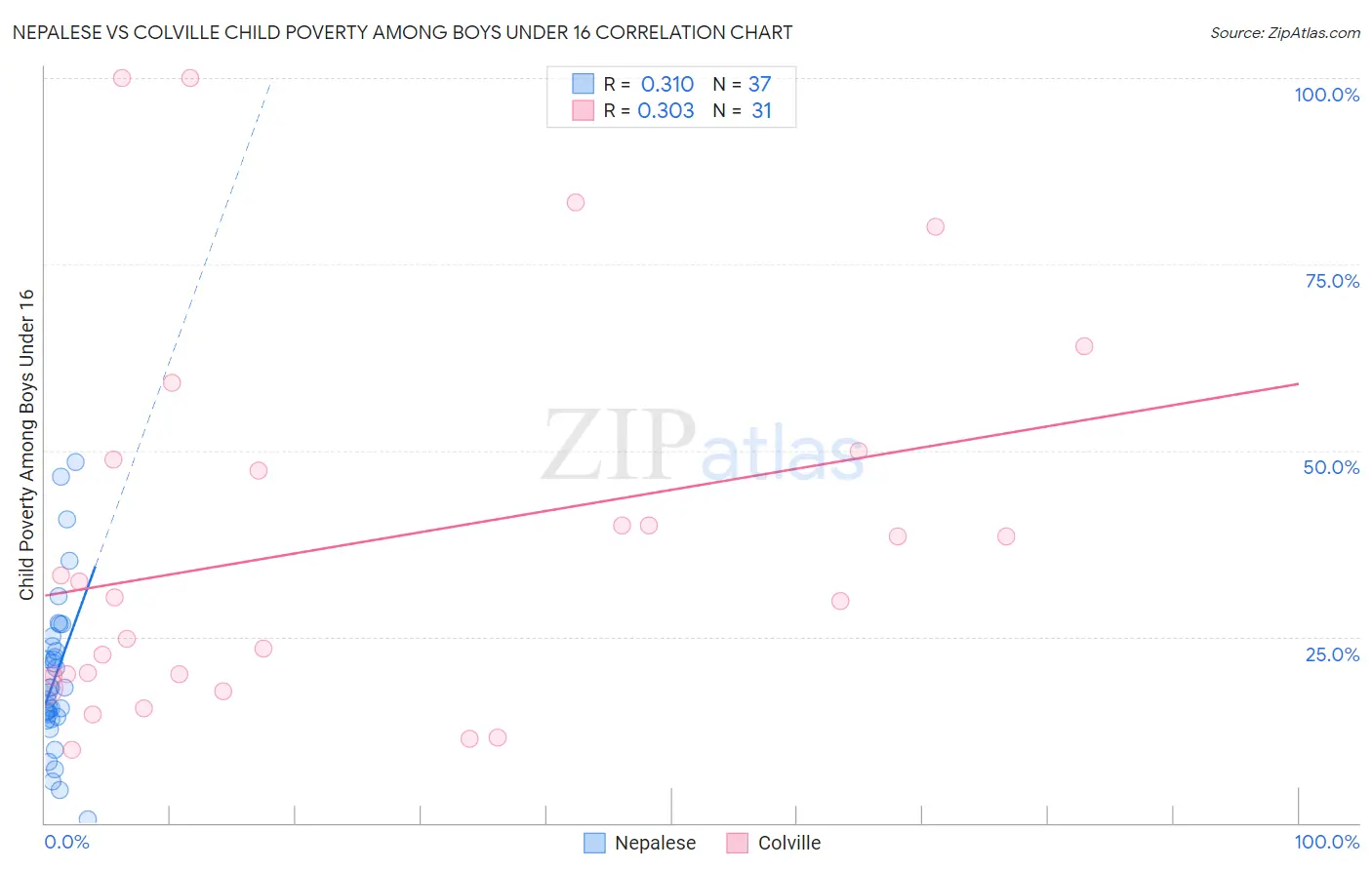 Nepalese vs Colville Child Poverty Among Boys Under 16