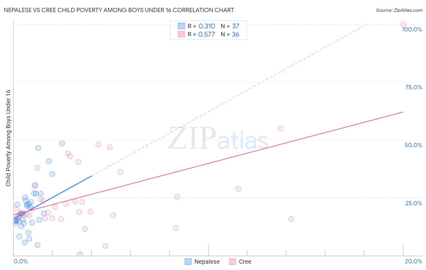 Nepalese vs Cree Child Poverty Among Boys Under 16