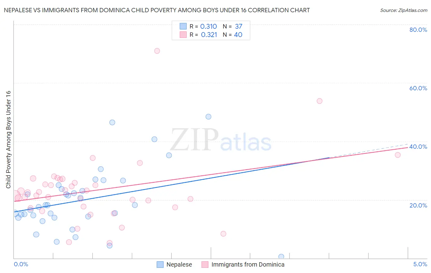 Nepalese vs Immigrants from Dominica Child Poverty Among Boys Under 16