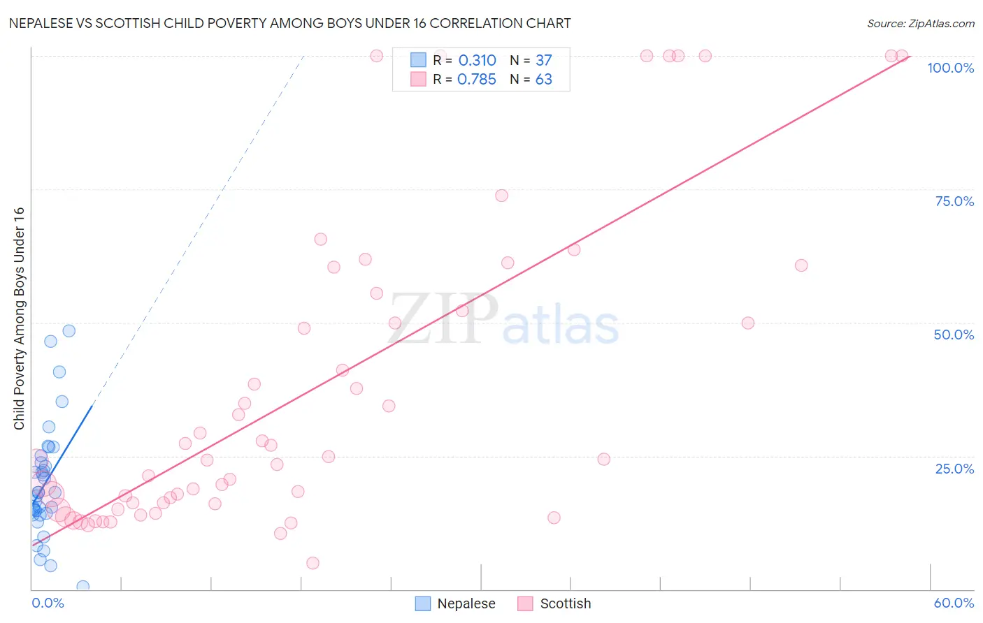 Nepalese vs Scottish Child Poverty Among Boys Under 16
