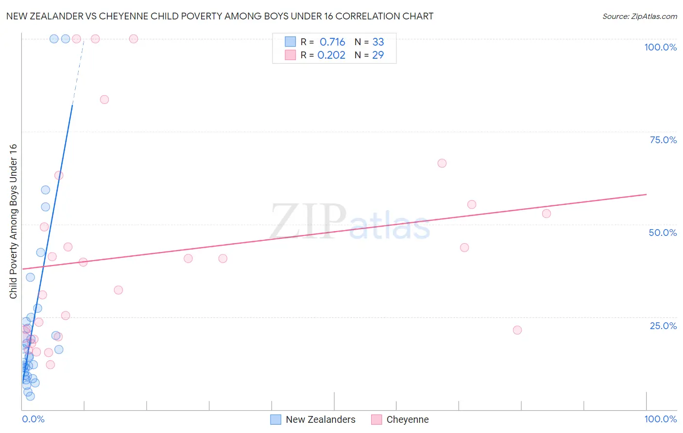 New Zealander vs Cheyenne Child Poverty Among Boys Under 16