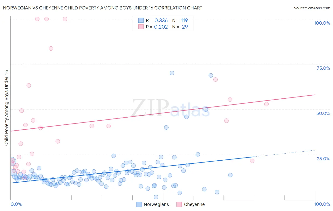 Norwegian vs Cheyenne Child Poverty Among Boys Under 16