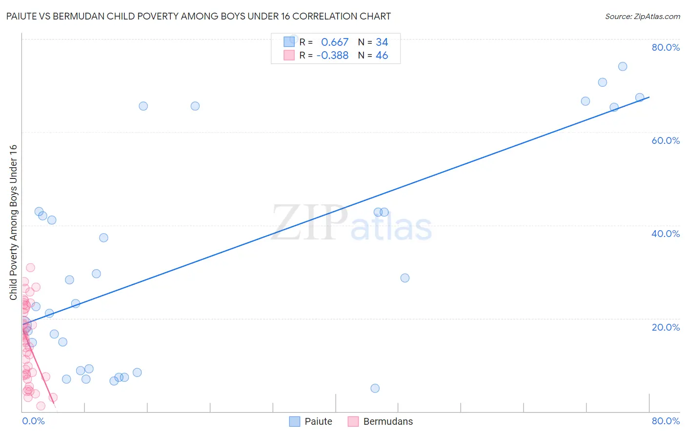 Paiute vs Bermudan Child Poverty Among Boys Under 16