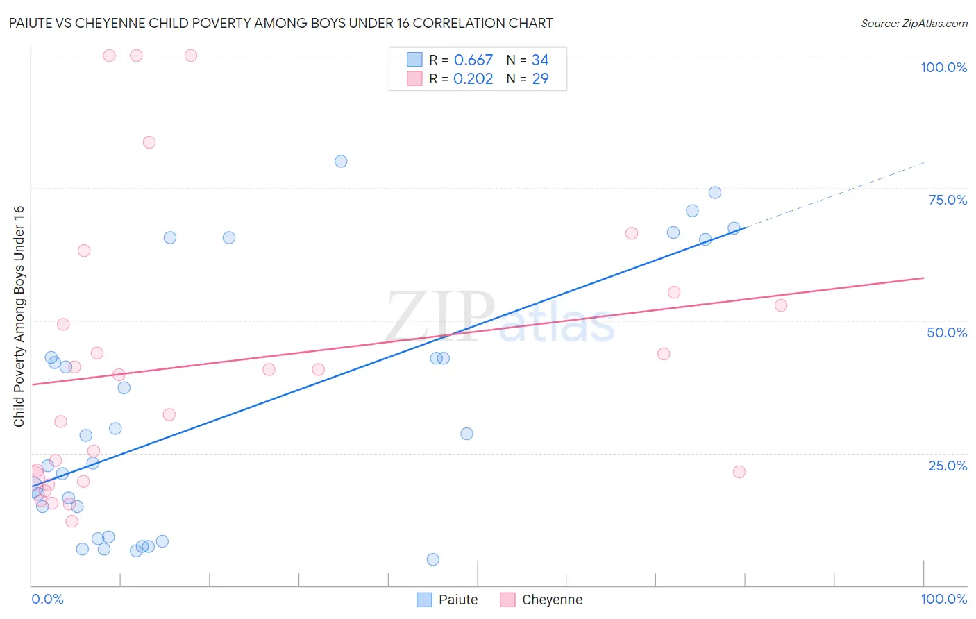 Paiute vs Cheyenne Child Poverty Among Boys Under 16