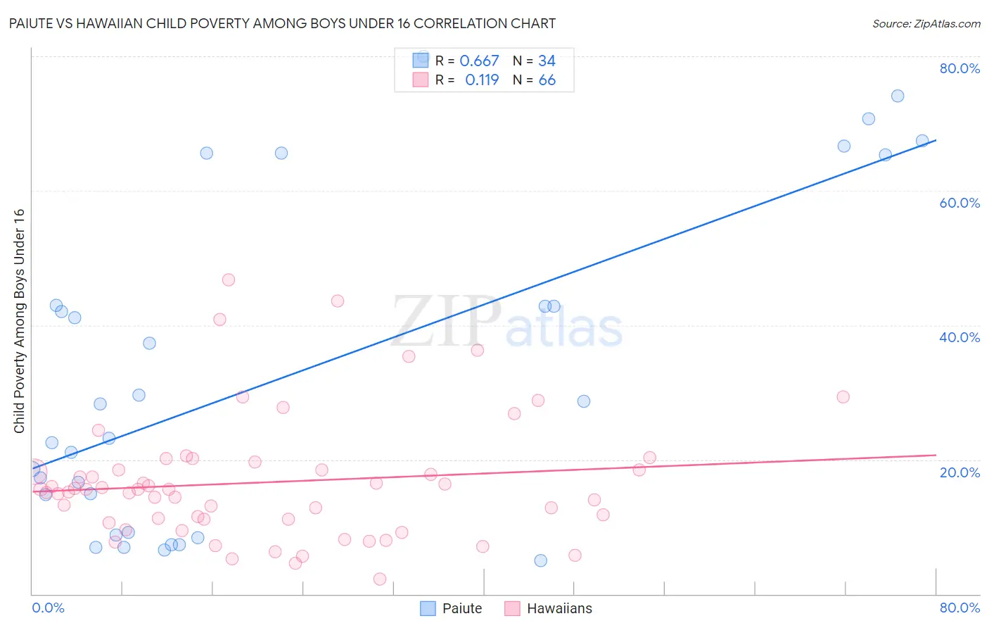 Paiute vs Hawaiian Child Poverty Among Boys Under 16