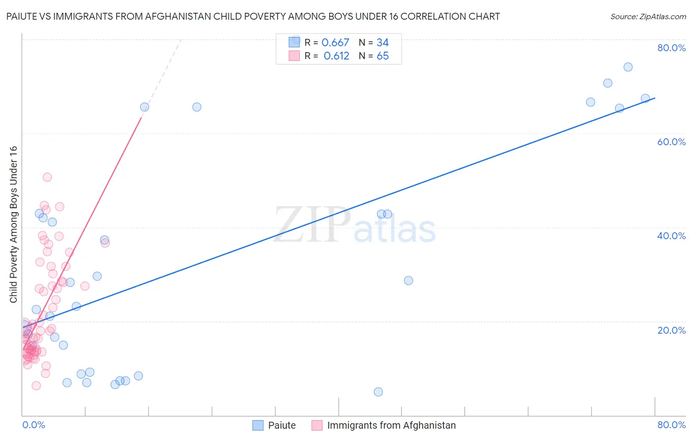 Paiute vs Immigrants from Afghanistan Child Poverty Among Boys Under 16
