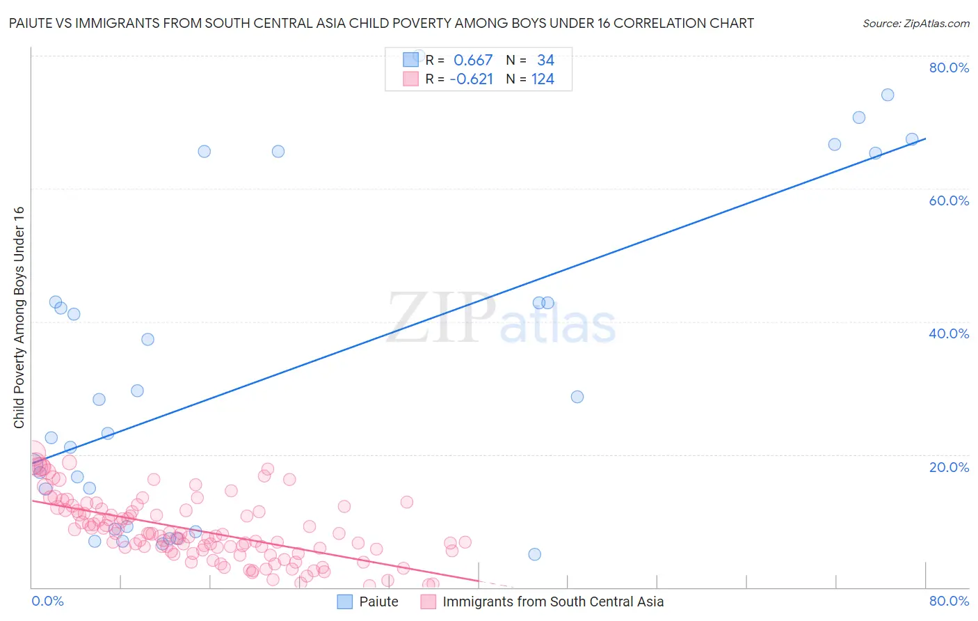 Paiute vs Immigrants from South Central Asia Child Poverty Among Boys Under 16