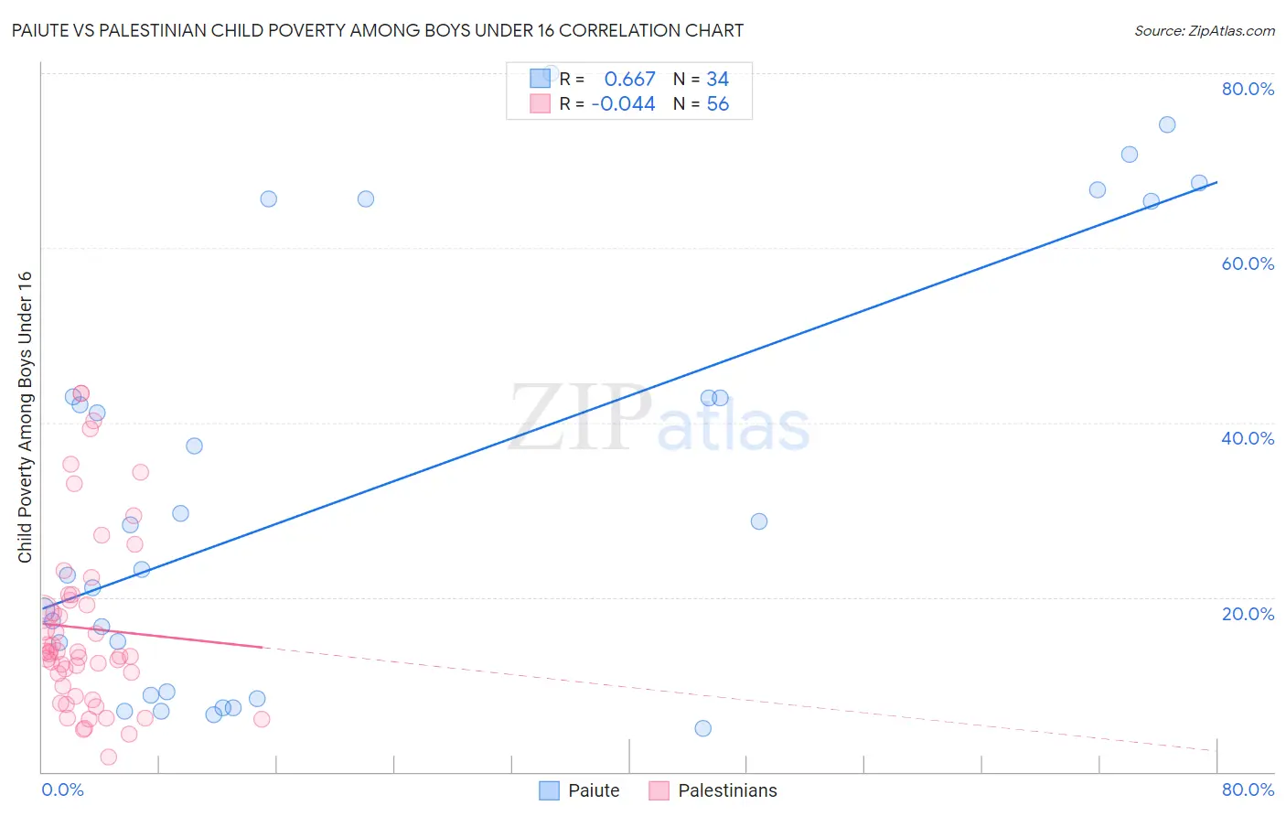 Paiute vs Palestinian Child Poverty Among Boys Under 16
