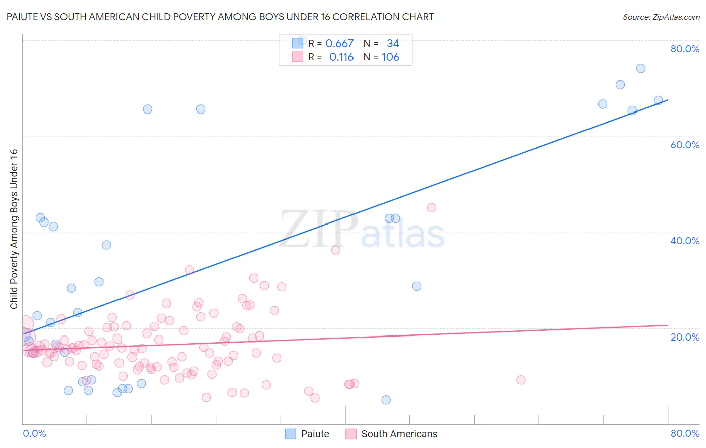 Paiute vs South American Child Poverty Among Boys Under 16