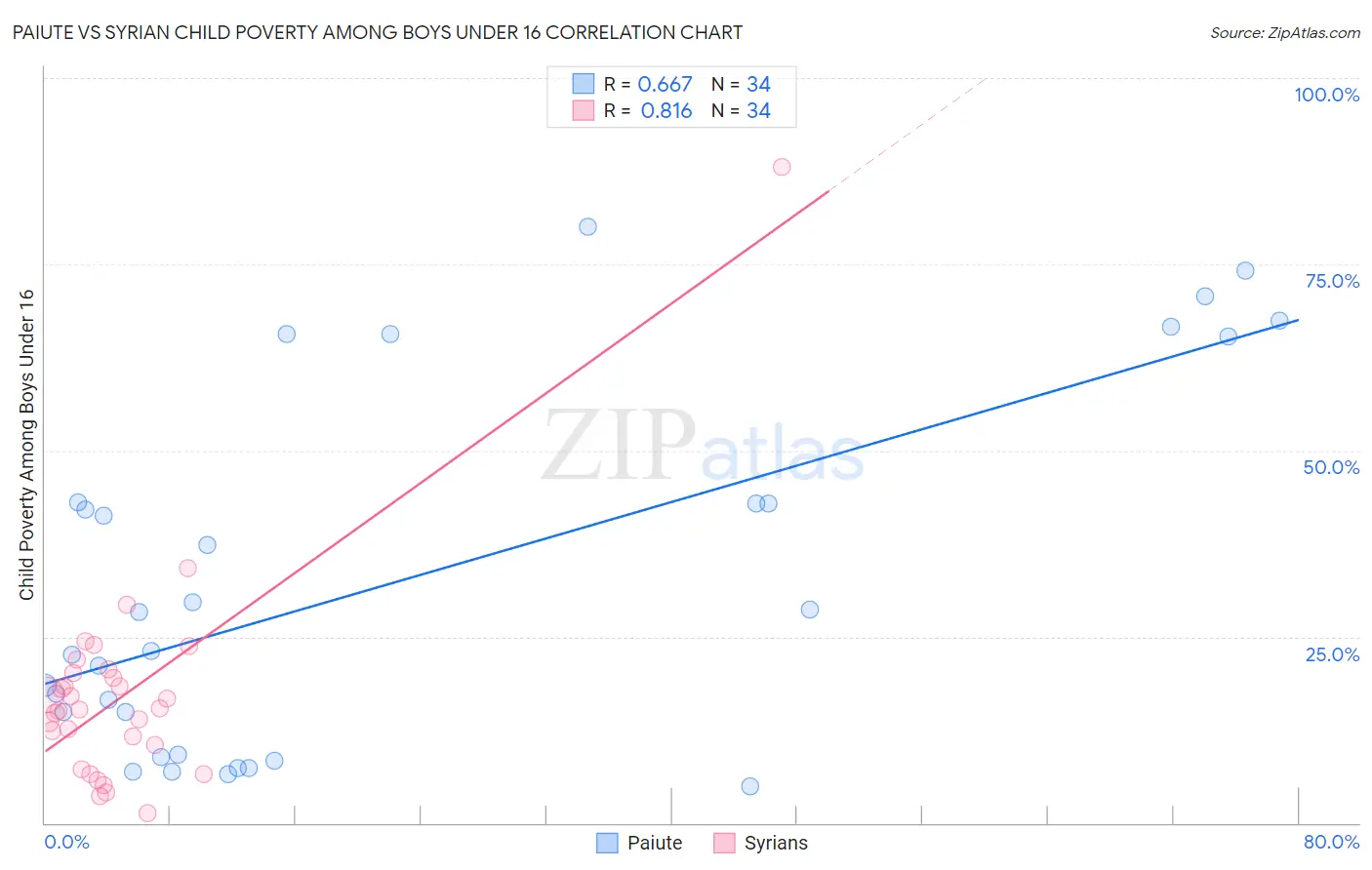 Paiute vs Syrian Child Poverty Among Boys Under 16