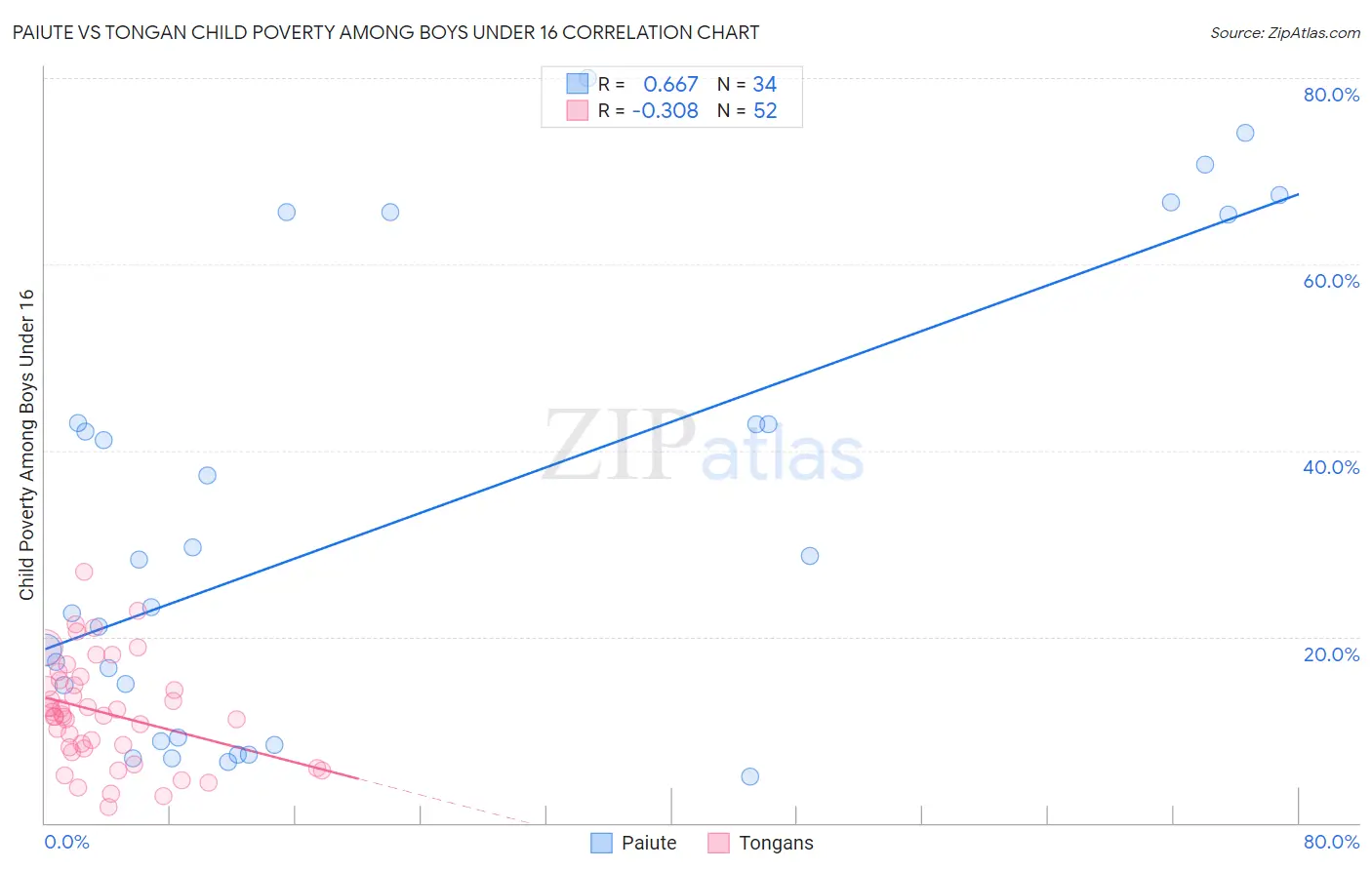 Paiute vs Tongan Child Poverty Among Boys Under 16