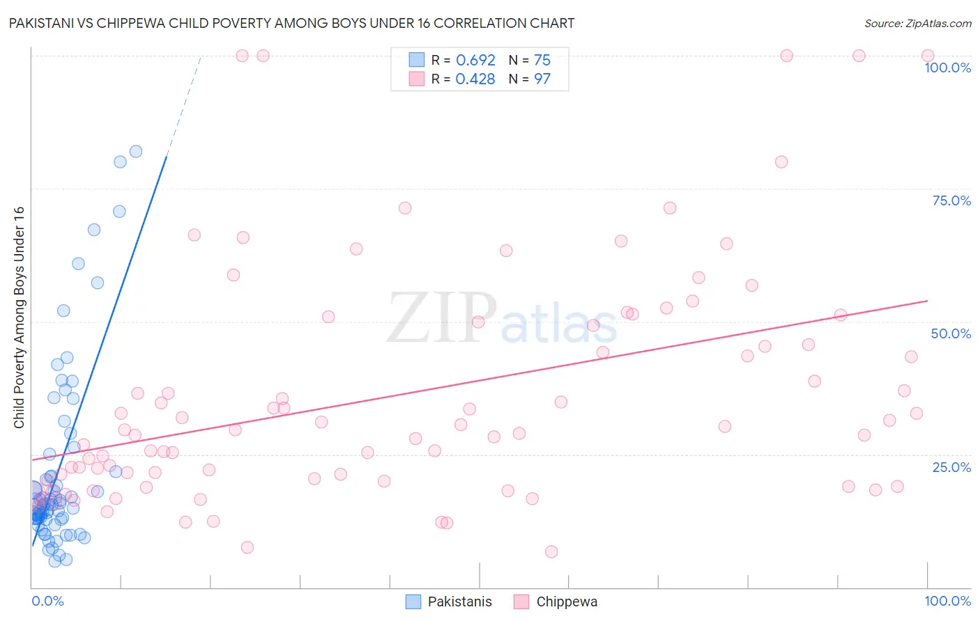 Pakistani vs Chippewa Child Poverty Among Boys Under 16