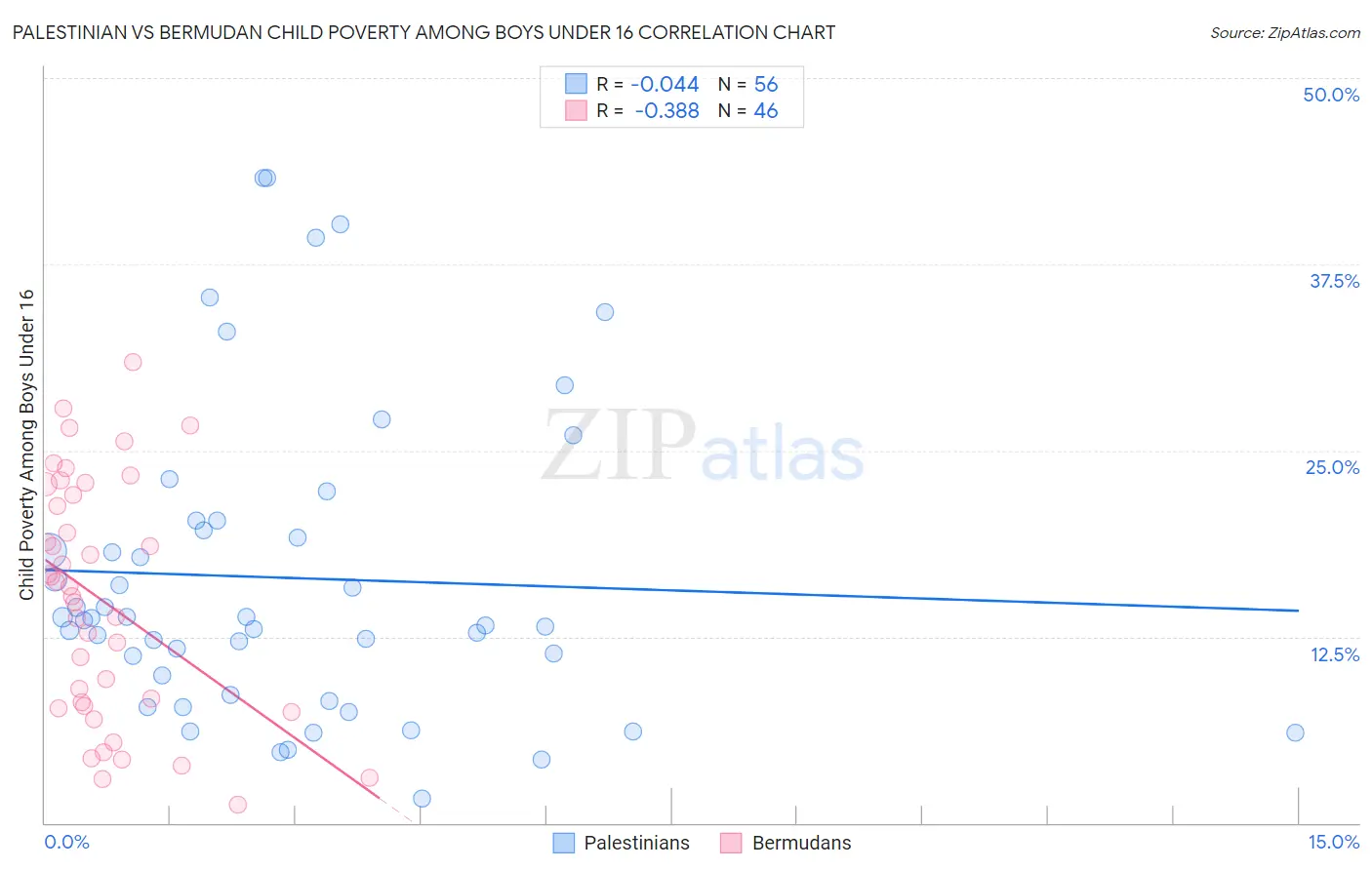 Palestinian vs Bermudan Child Poverty Among Boys Under 16