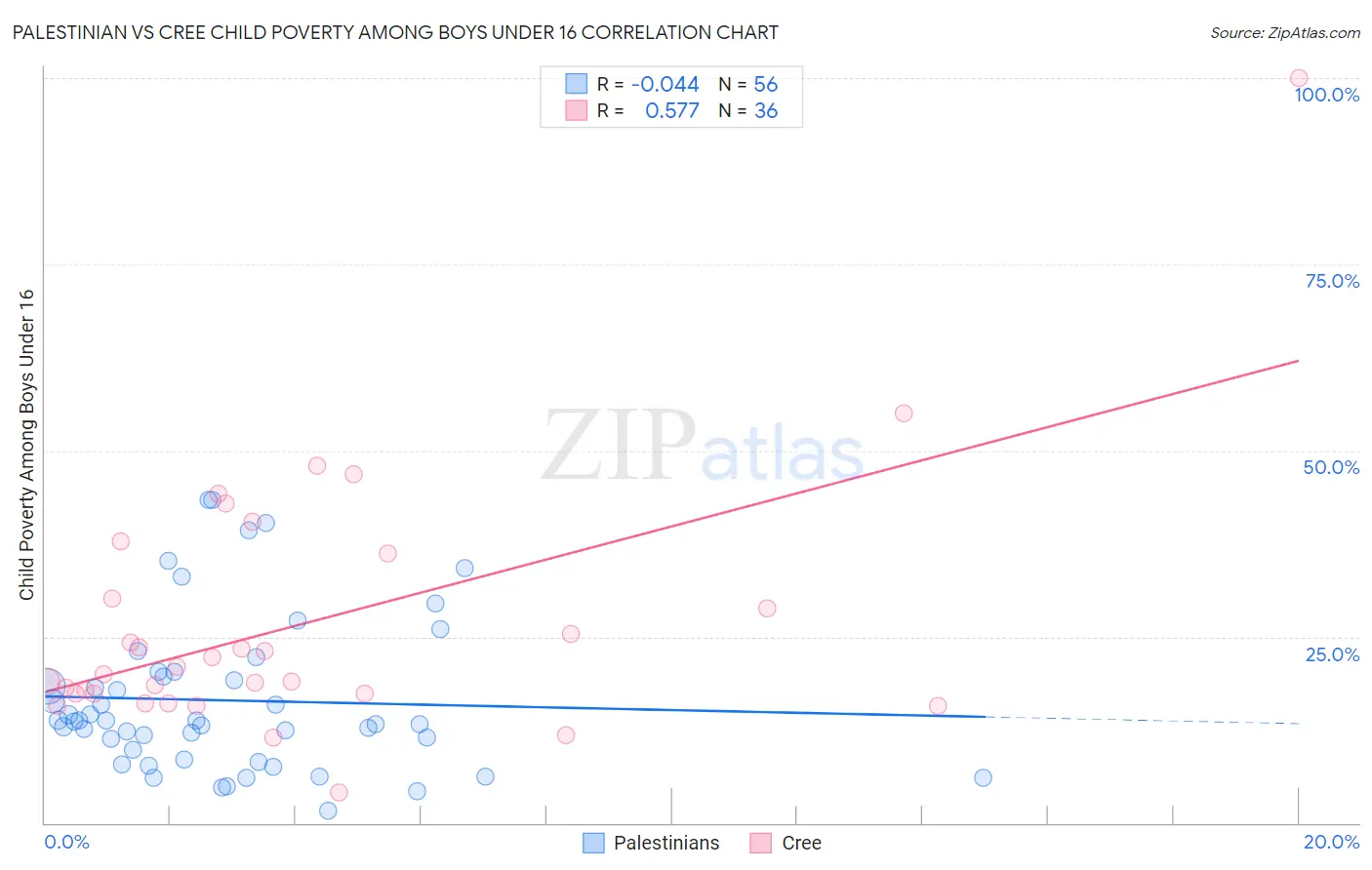 Palestinian vs Cree Child Poverty Among Boys Under 16