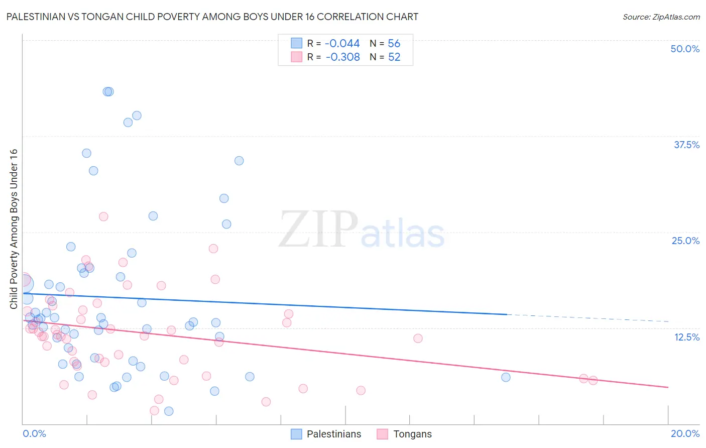 Palestinian vs Tongan Child Poverty Among Boys Under 16
