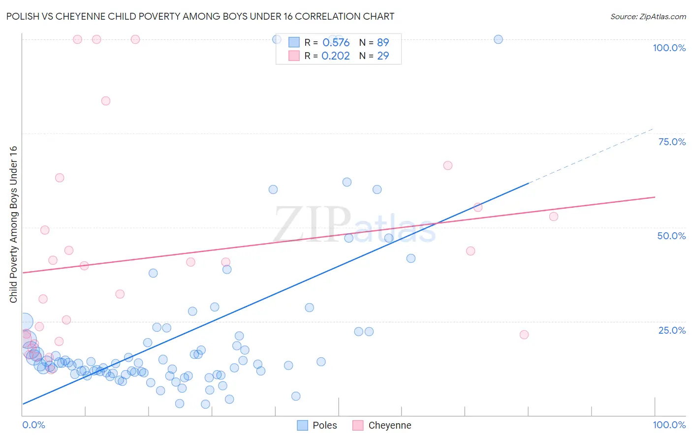 Polish vs Cheyenne Child Poverty Among Boys Under 16