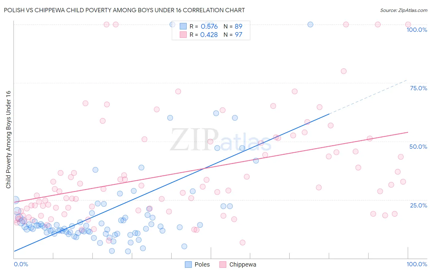 Polish vs Chippewa Child Poverty Among Boys Under 16