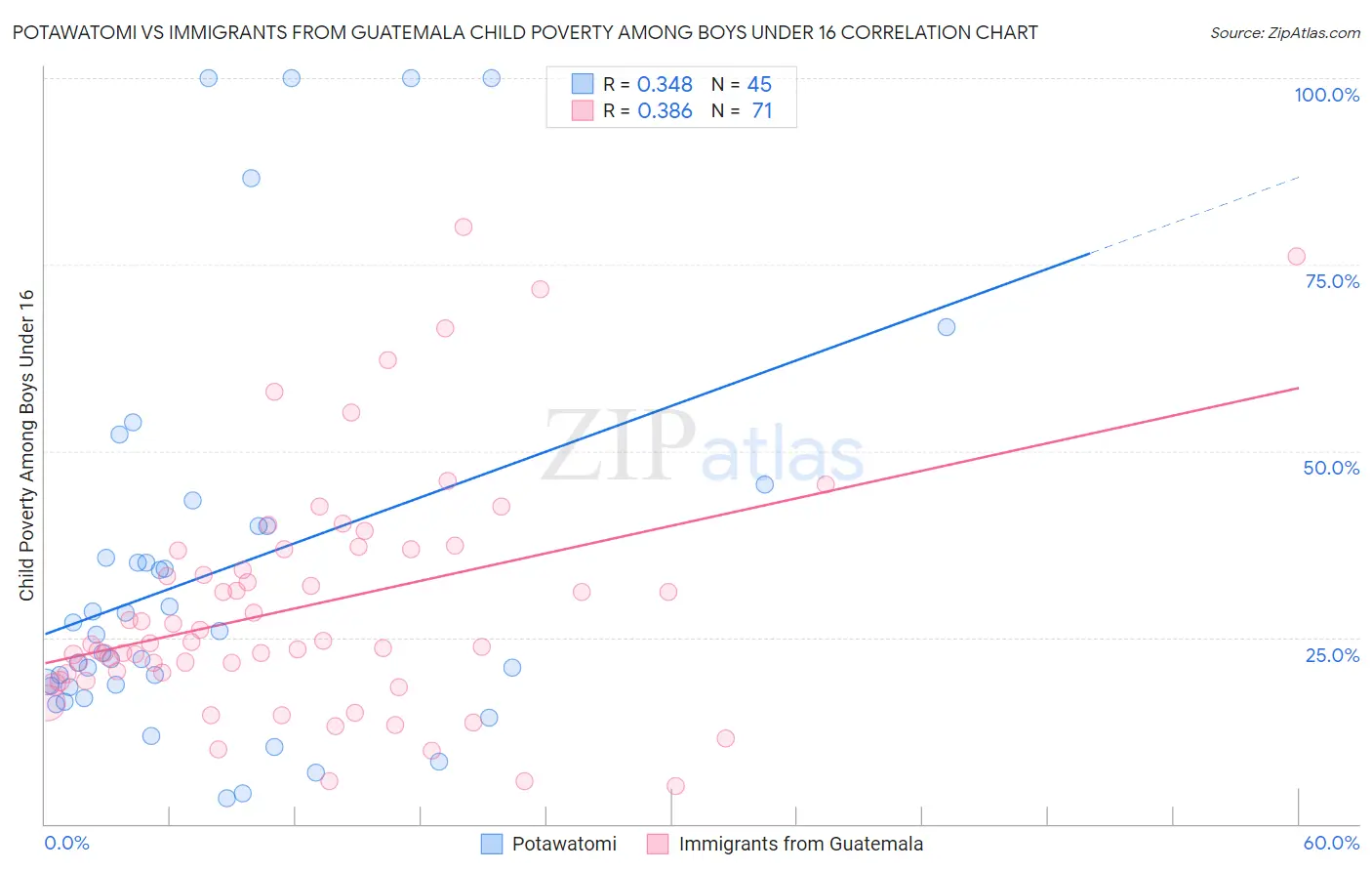 Potawatomi vs Immigrants from Guatemala Child Poverty Among Boys Under 16