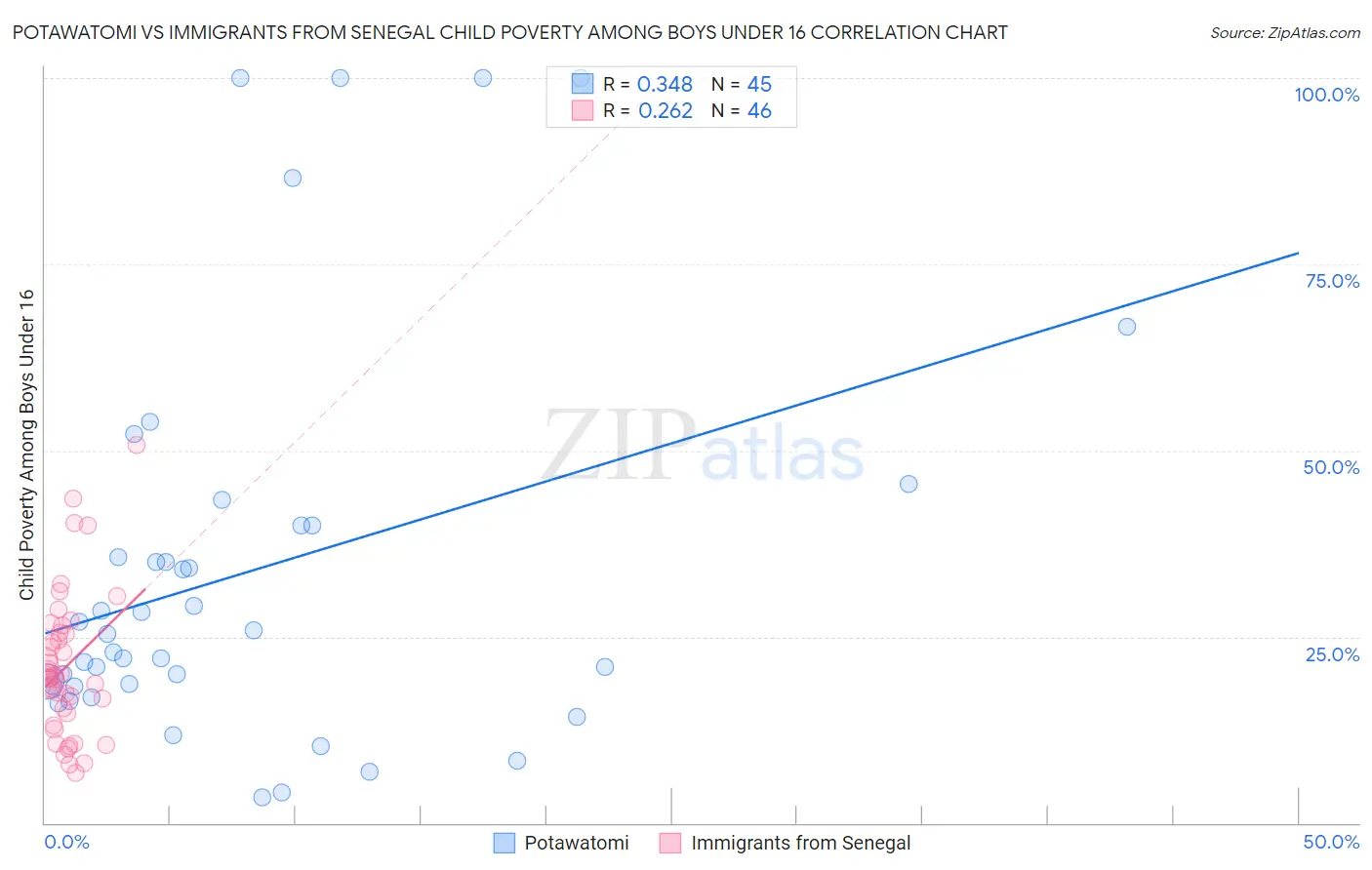 Potawatomi vs Immigrants from Senegal Child Poverty Among Boys Under 16