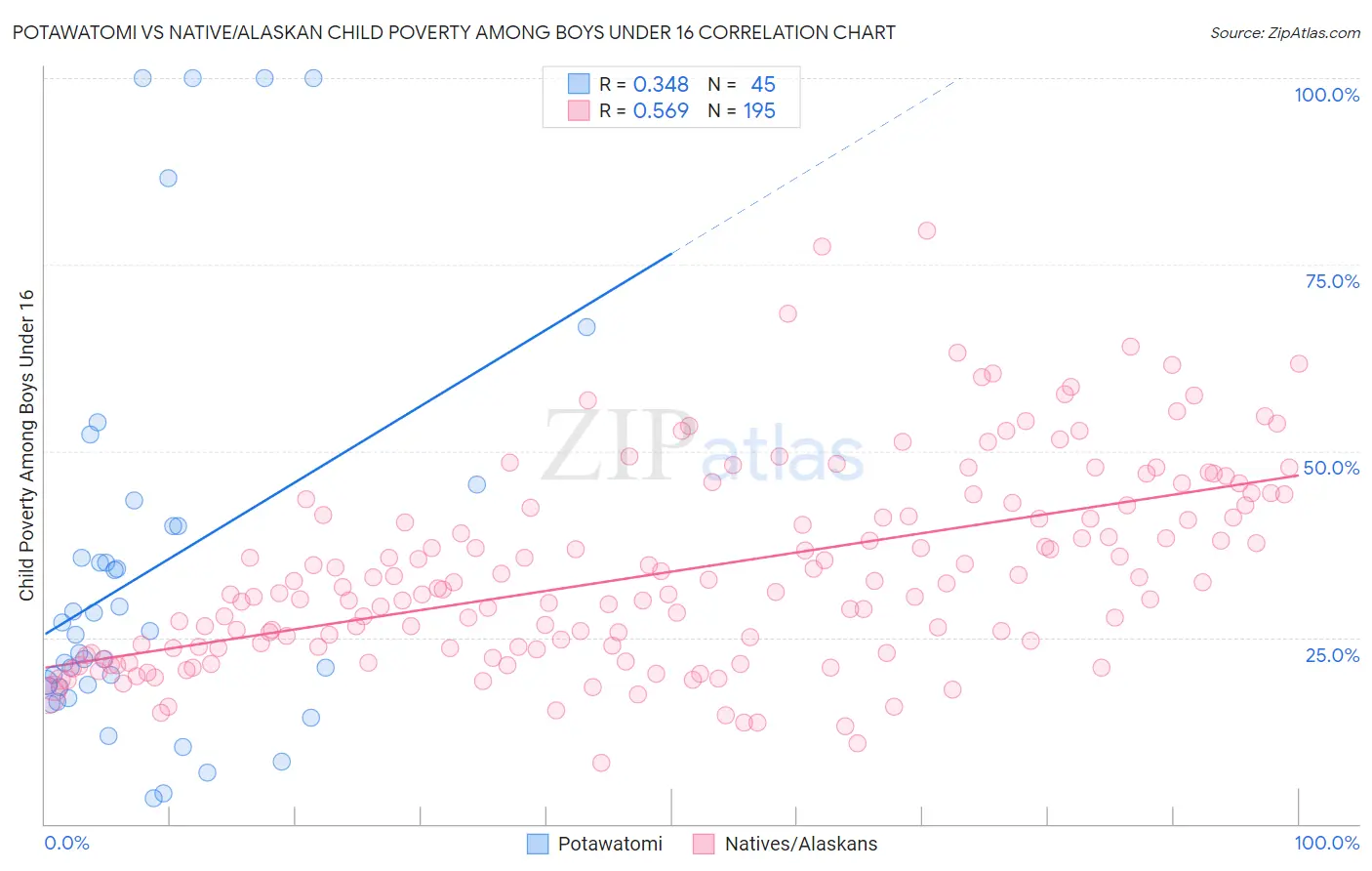 Potawatomi vs Native/Alaskan Child Poverty Among Boys Under 16