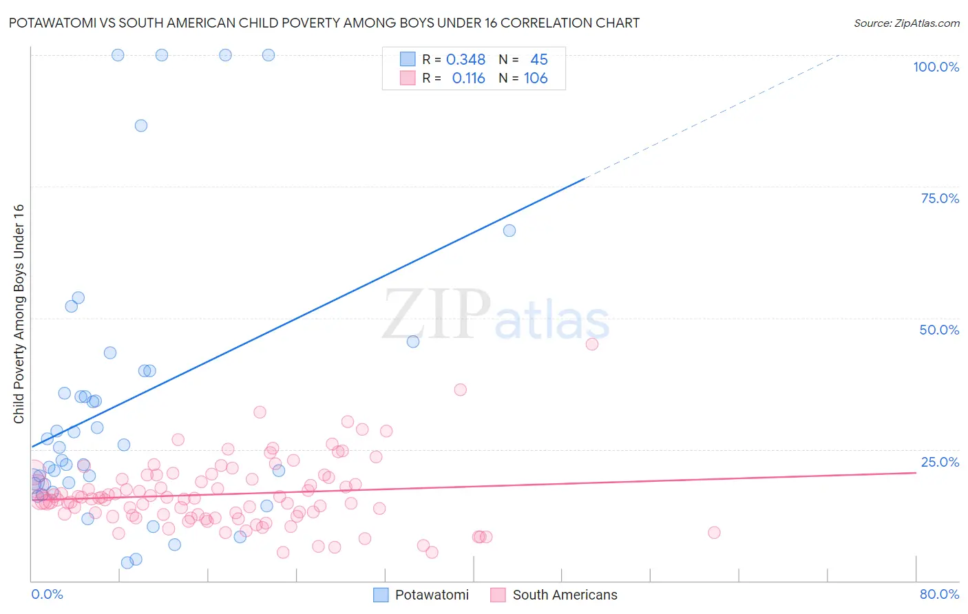 Potawatomi vs South American Child Poverty Among Boys Under 16