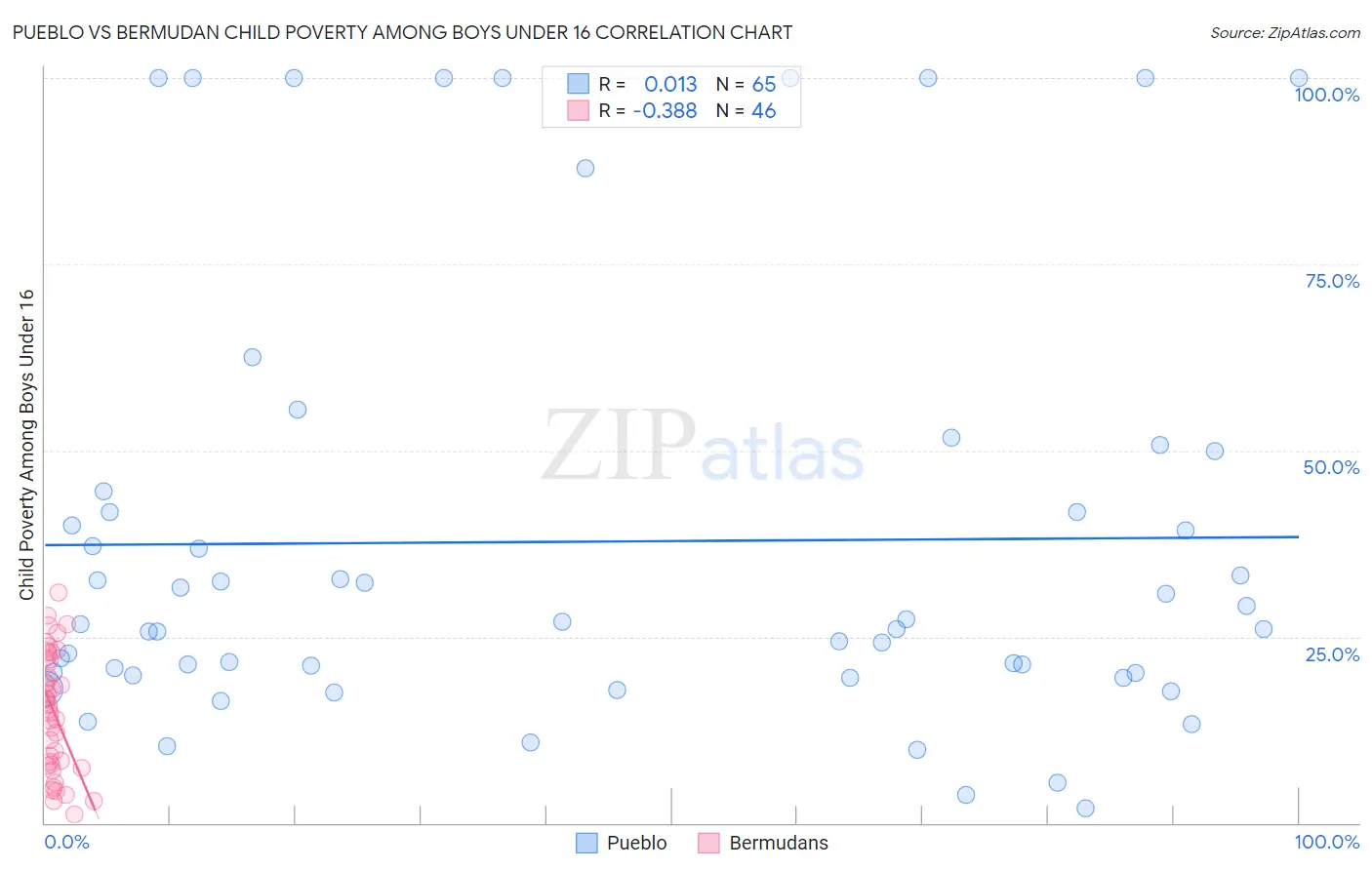 Pueblo vs Bermudan Child Poverty Among Boys Under 16