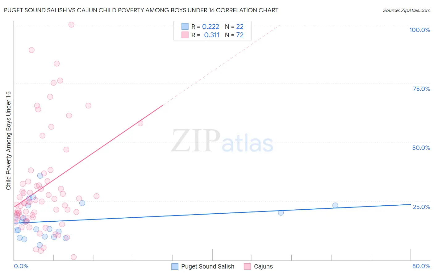 Puget Sound Salish vs Cajun Child Poverty Among Boys Under 16