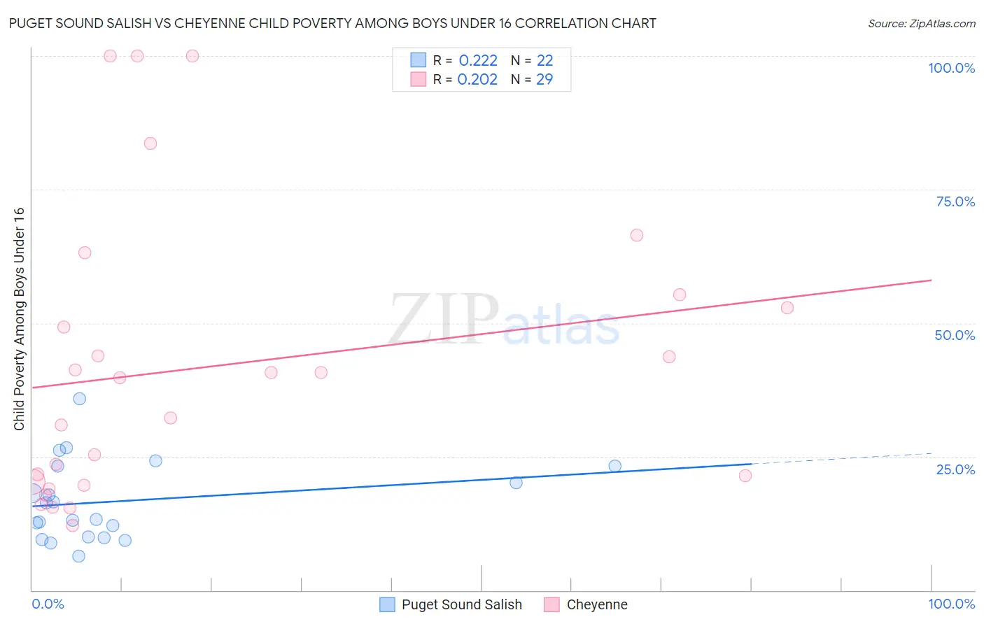 Puget Sound Salish vs Cheyenne Child Poverty Among Boys Under 16