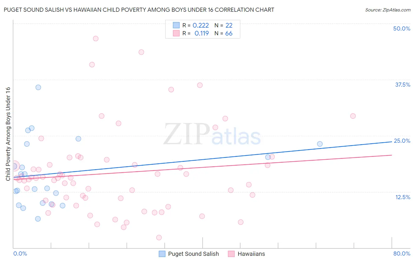 Puget Sound Salish vs Hawaiian Child Poverty Among Boys Under 16