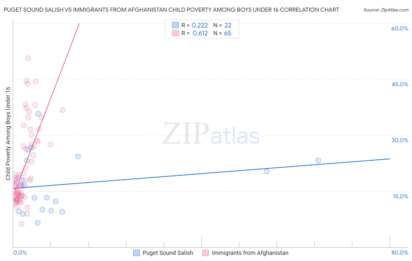 Puget Sound Salish vs Immigrants from Afghanistan Child Poverty Among Boys Under 16