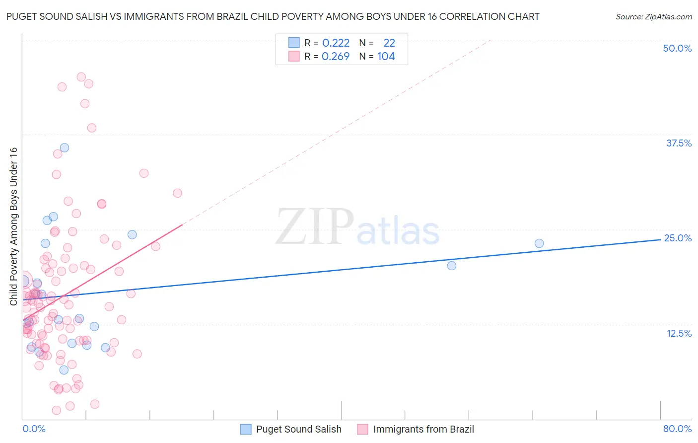 Puget Sound Salish vs Immigrants from Brazil Child Poverty Among Boys Under 16