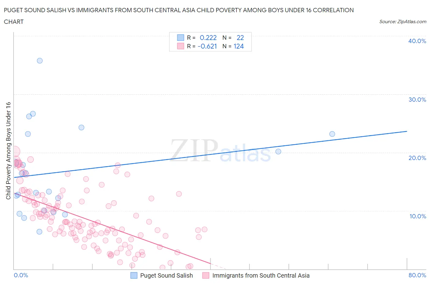 Puget Sound Salish vs Immigrants from South Central Asia Child Poverty Among Boys Under 16