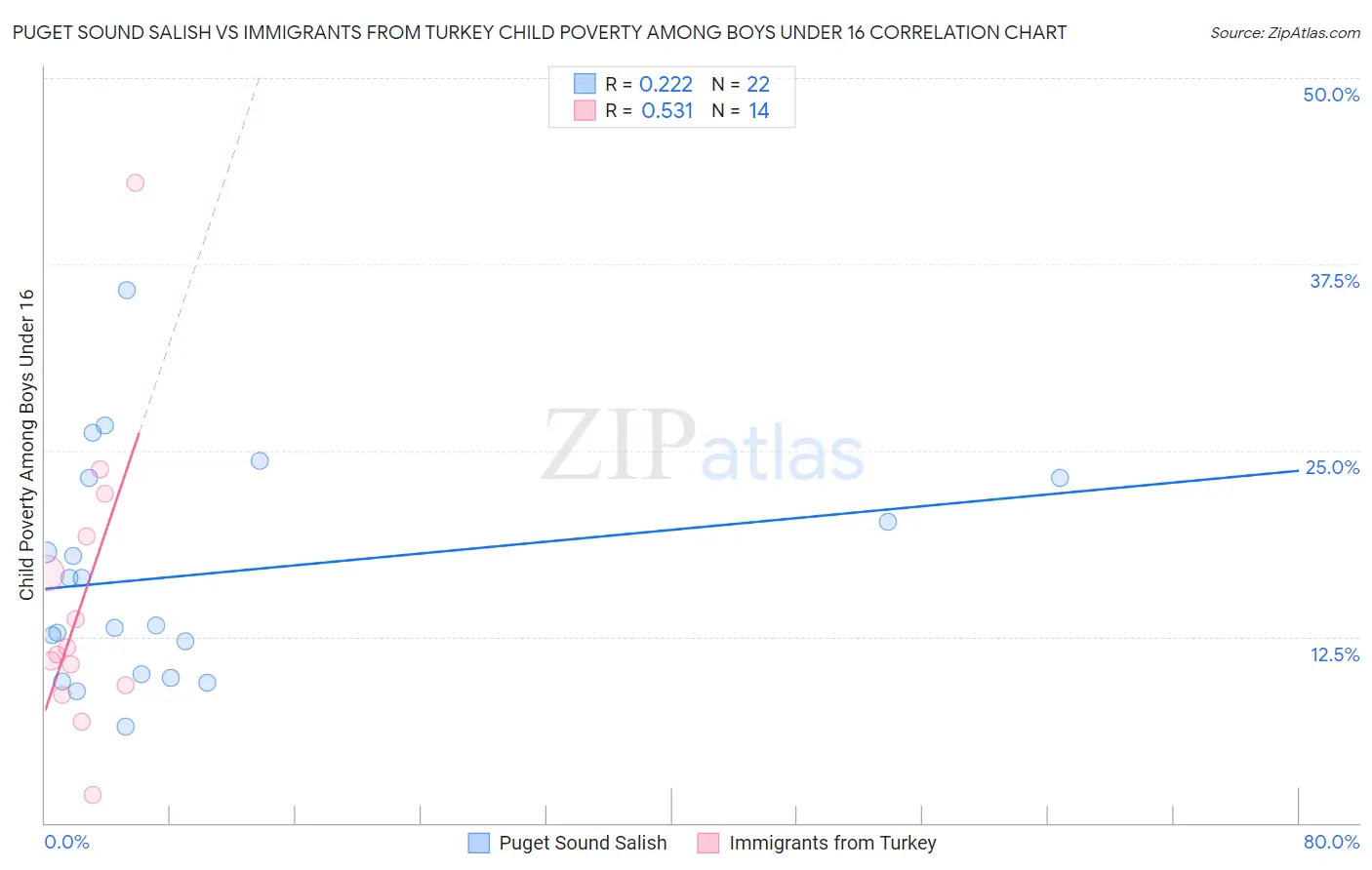 Puget Sound Salish vs Immigrants from Turkey Child Poverty Among Boys Under 16
