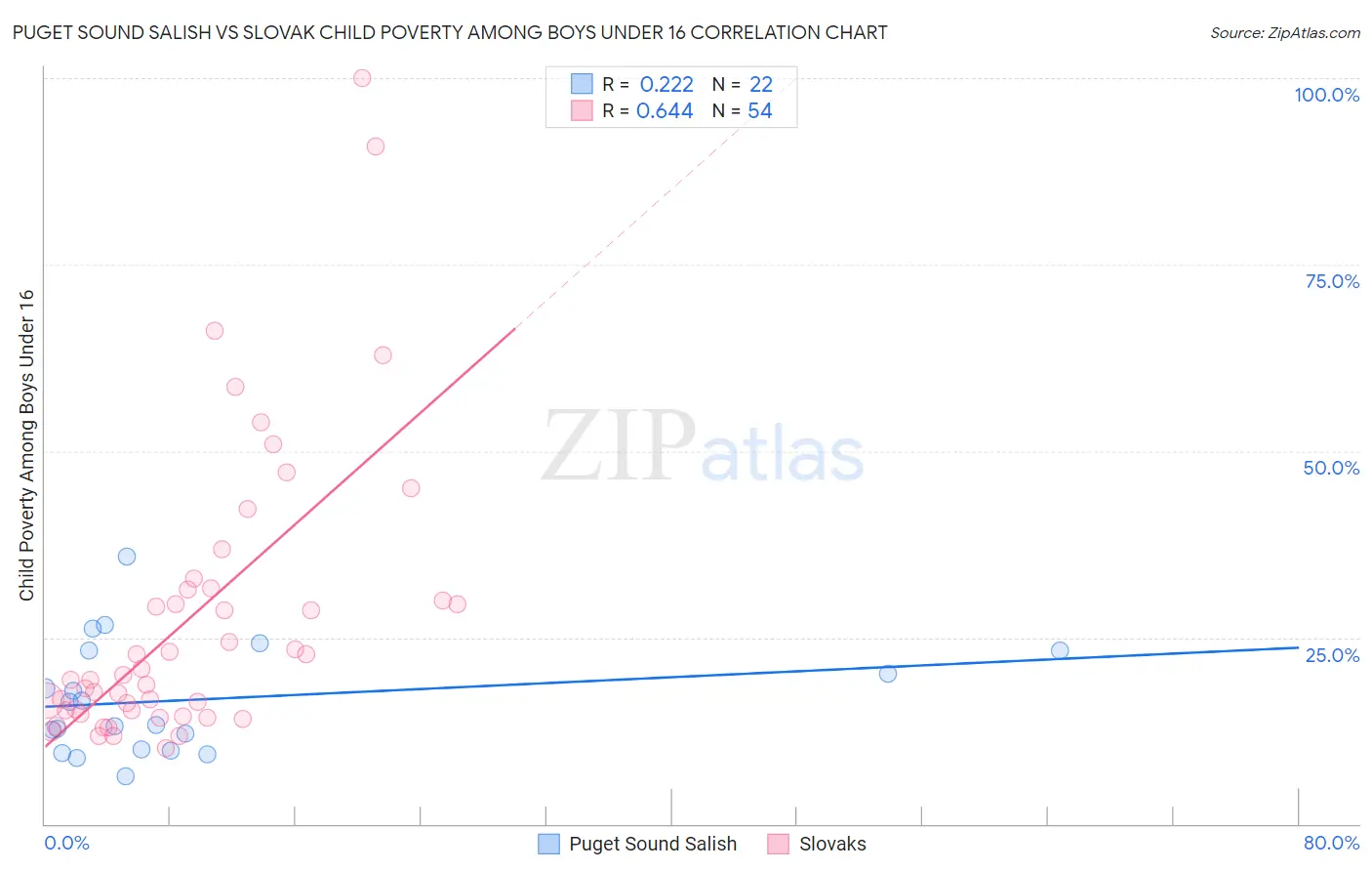 Puget Sound Salish vs Slovak Child Poverty Among Boys Under 16