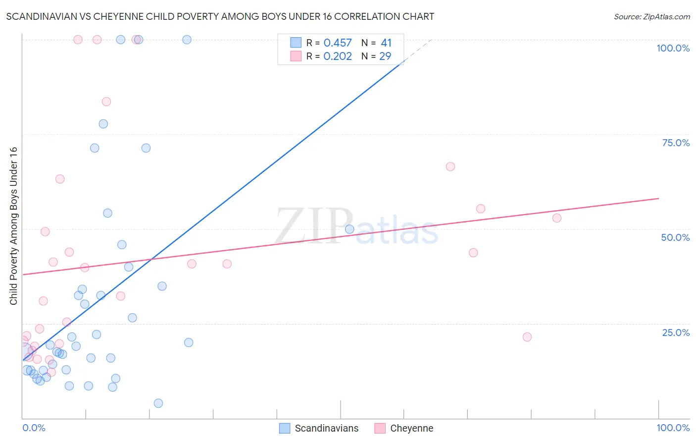 Scandinavian vs Cheyenne Child Poverty Among Boys Under 16