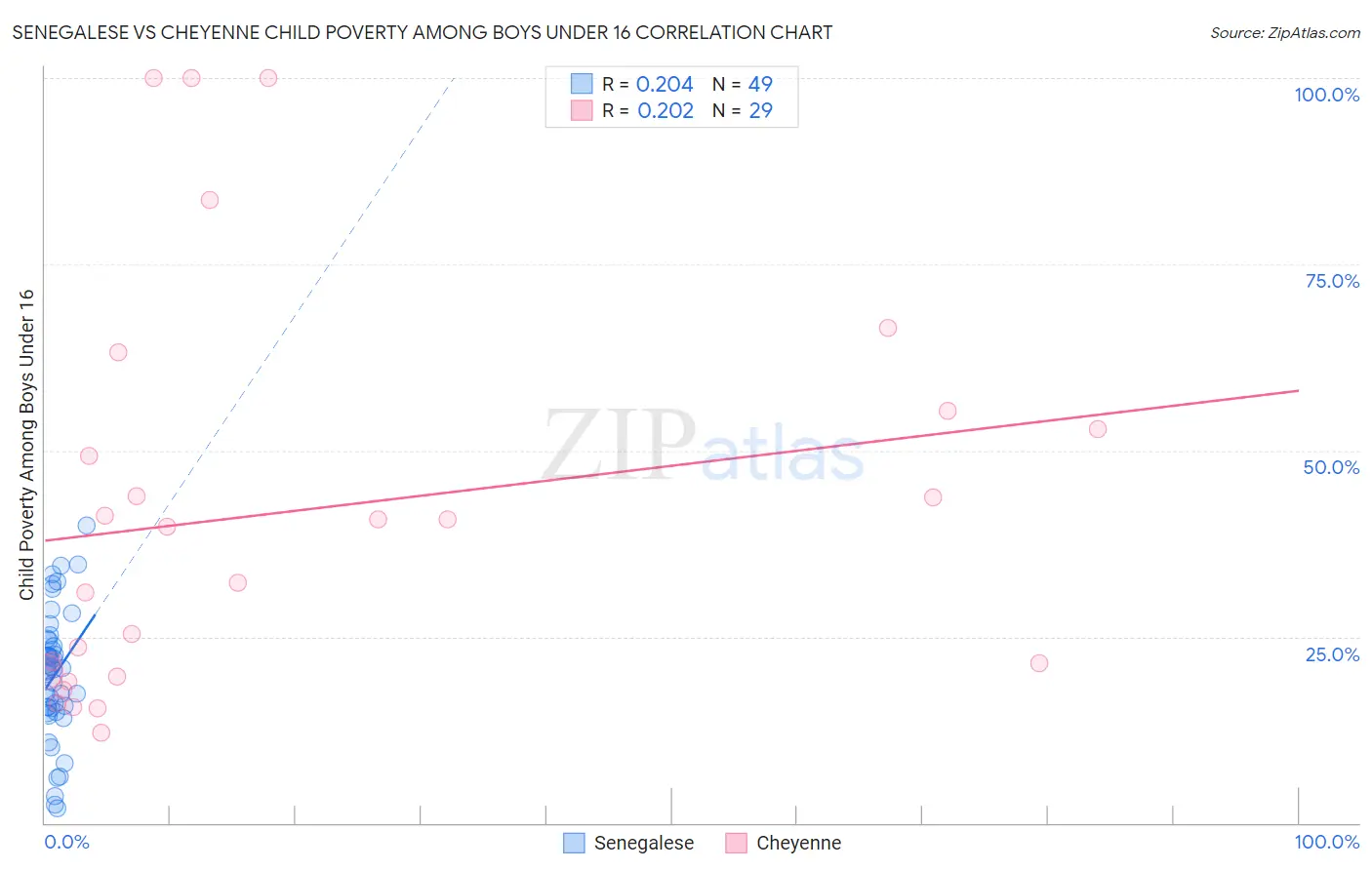 Senegalese vs Cheyenne Child Poverty Among Boys Under 16