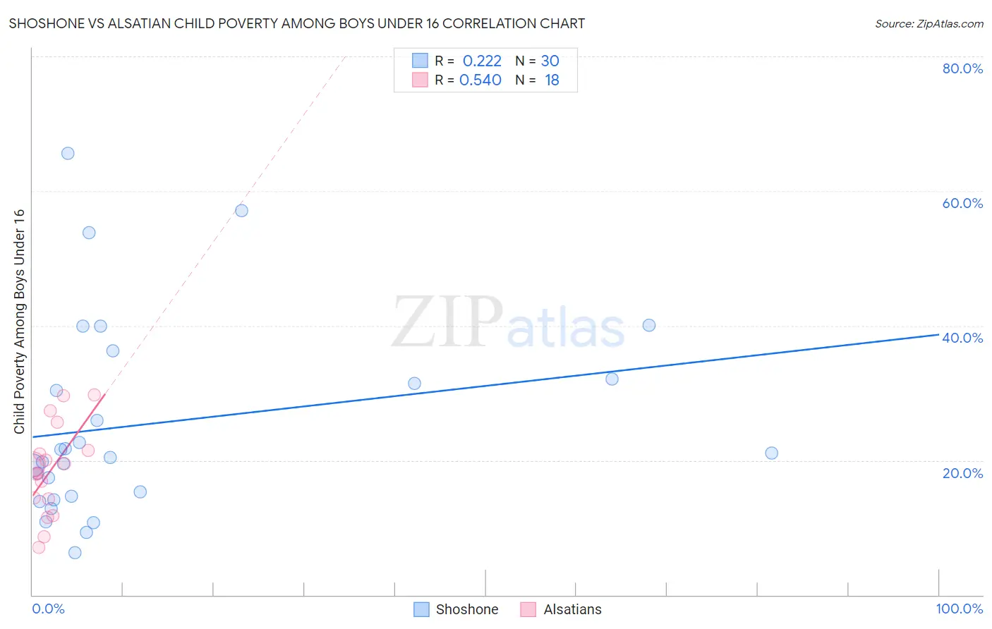 Shoshone vs Alsatian Child Poverty Among Boys Under 16