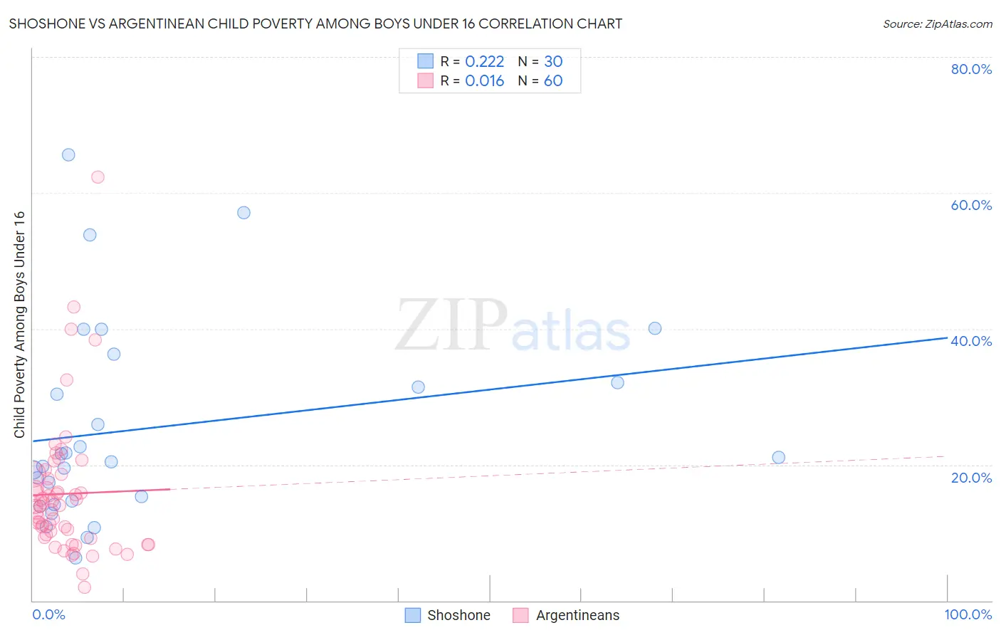 Shoshone vs Argentinean Child Poverty Among Boys Under 16