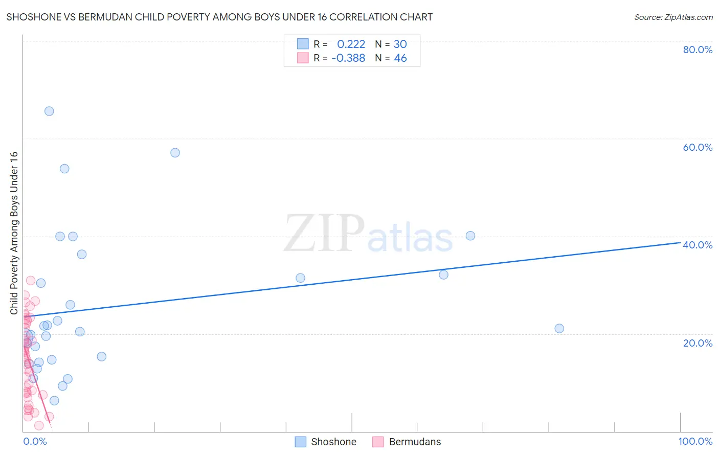 Shoshone vs Bermudan Child Poverty Among Boys Under 16