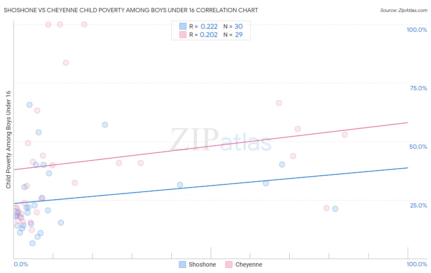 Shoshone vs Cheyenne Child Poverty Among Boys Under 16
