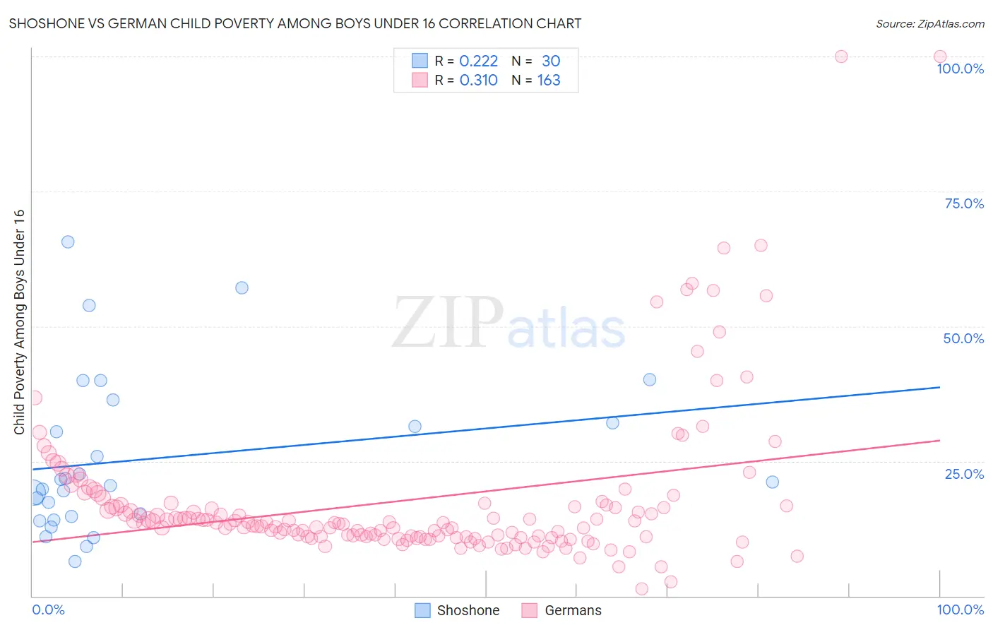 Shoshone vs German Child Poverty Among Boys Under 16