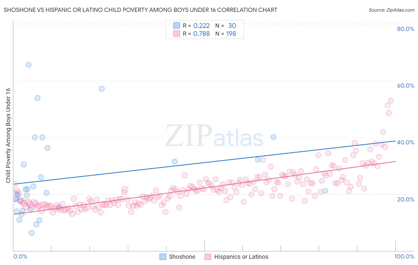 Shoshone vs Hispanic or Latino Child Poverty Among Boys Under 16