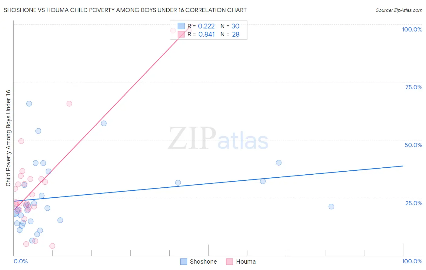 Shoshone vs Houma Child Poverty Among Boys Under 16
