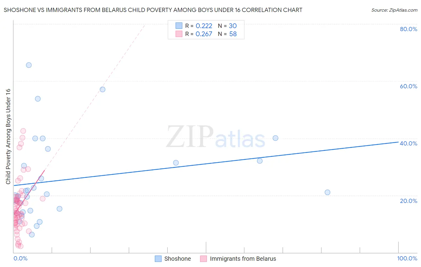 Shoshone vs Immigrants from Belarus Child Poverty Among Boys Under 16